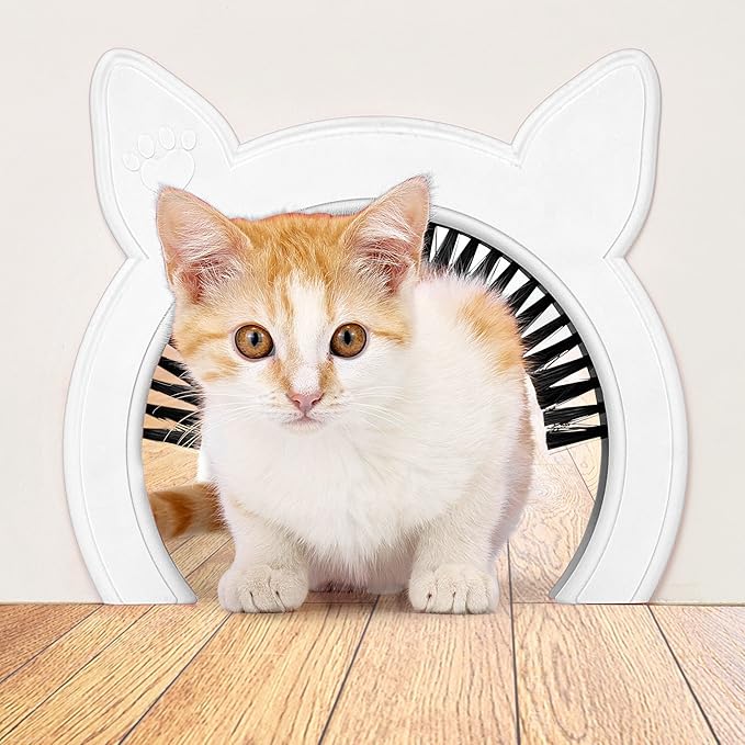 Cat Door