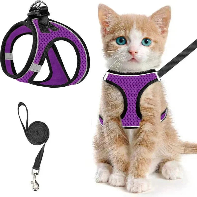 Adventure Paws Harness Set