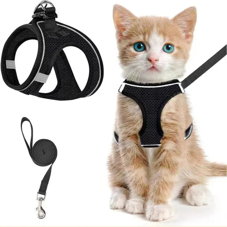 Adventure Paws Harness Set