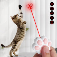 Catch Me If You Can Laser Toy