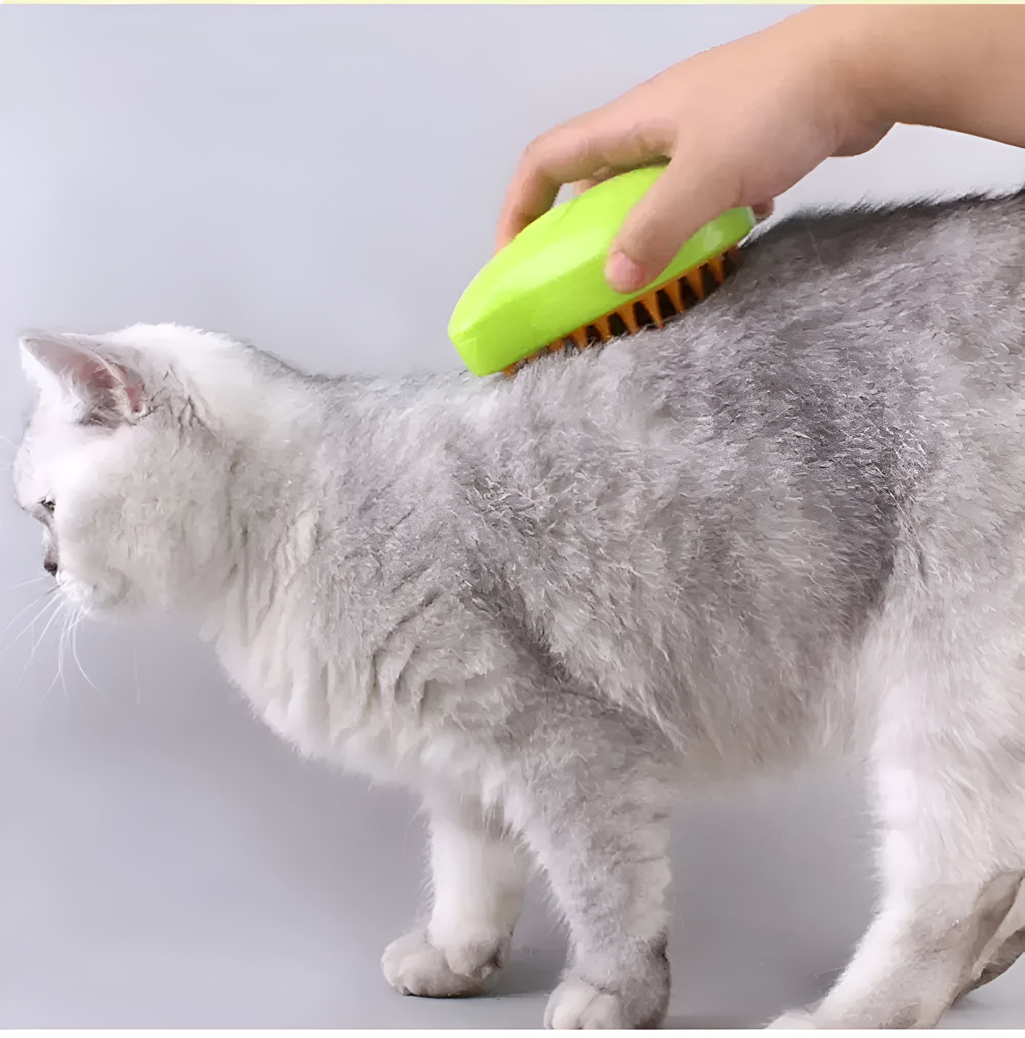 Silky Purr Brush