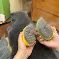 Silky Purr Brush