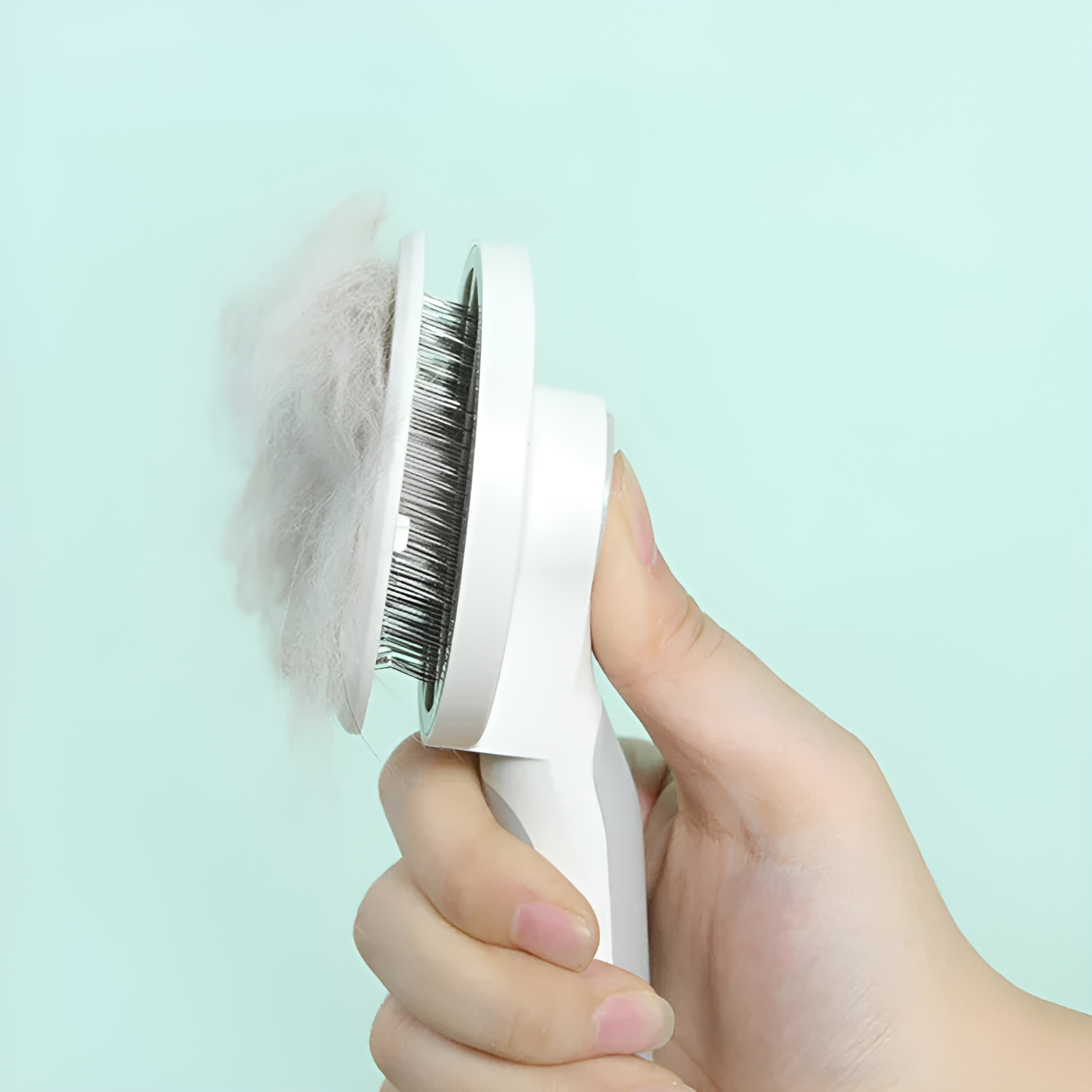 Silky Whiskers Brush