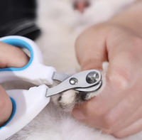 Purrfect Claw Clippers