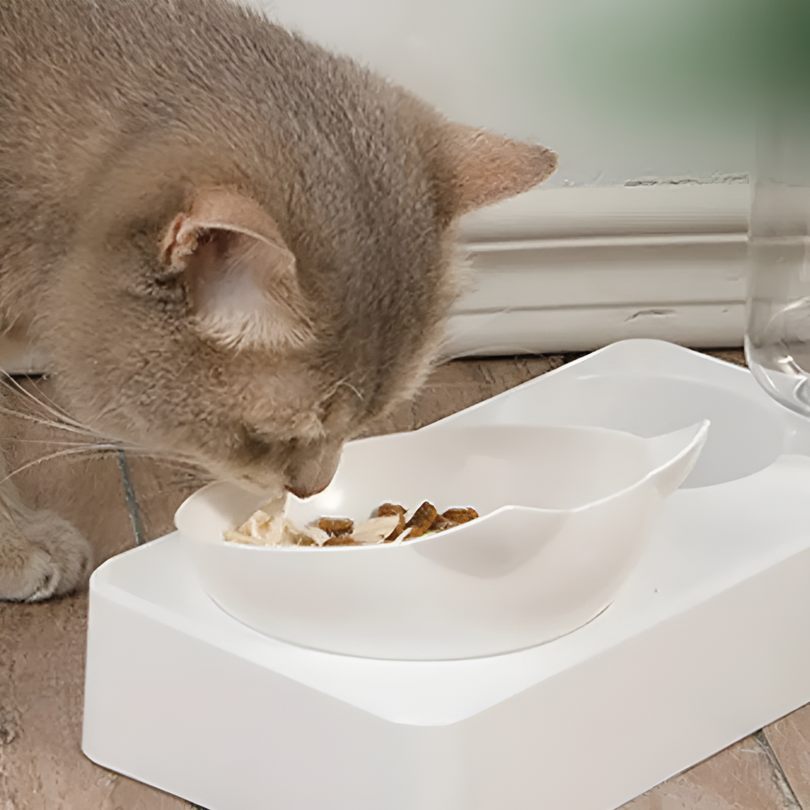 Easy Feed Purr Bowl