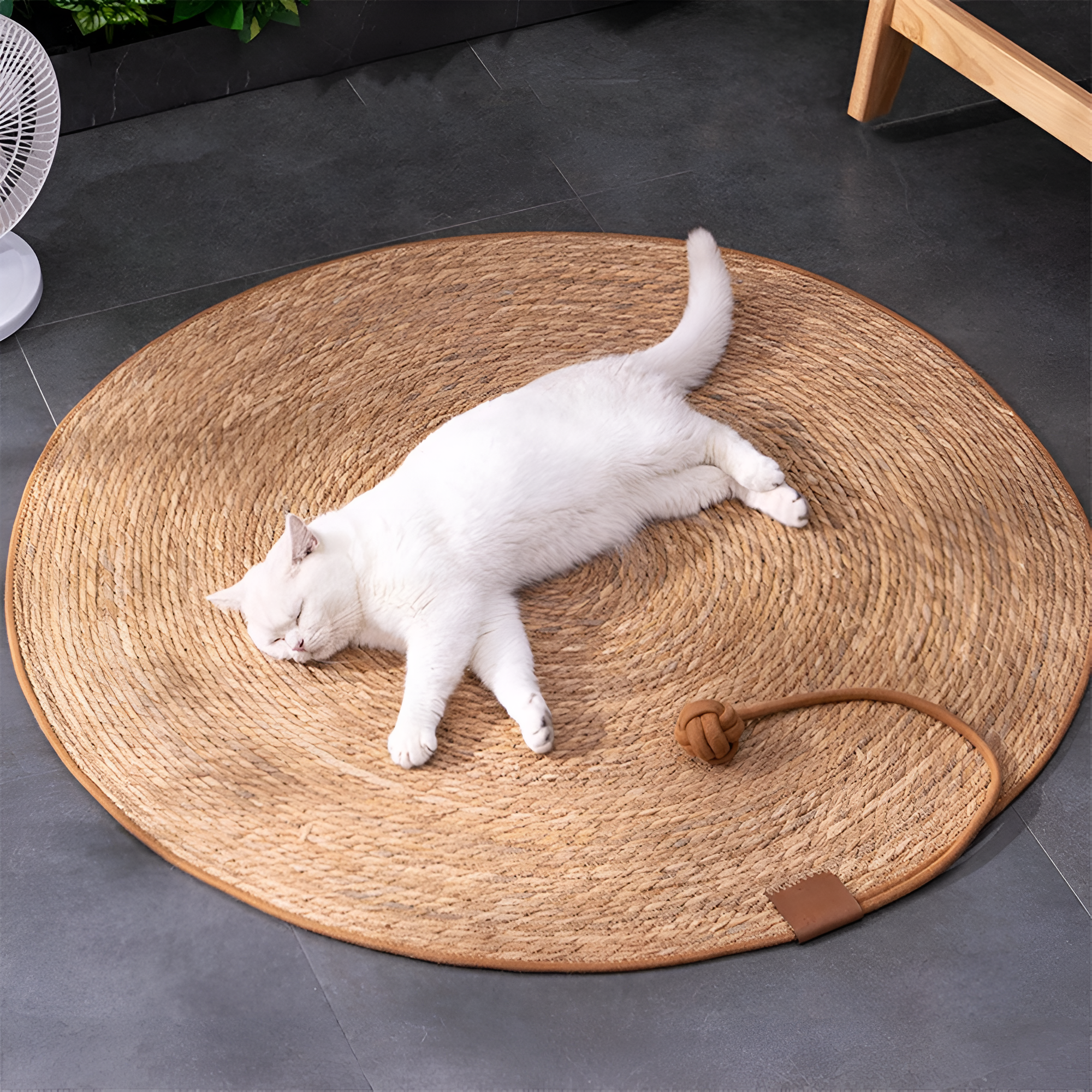 Scratch N’ Relax Mat