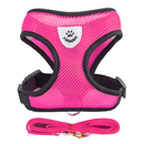 Glow & Go Cat Harness