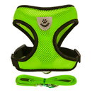 Glow & Go Cat Harness