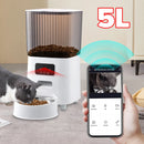 Timed Treat Purr Feeder