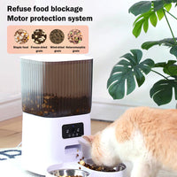 Timed Treat Purr Feeder